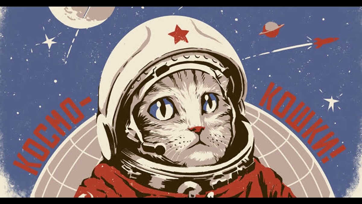 Рисунок кот в космосе