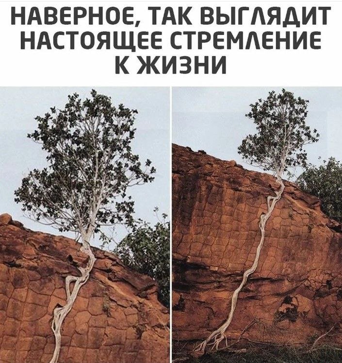 Взято на просторах интернета