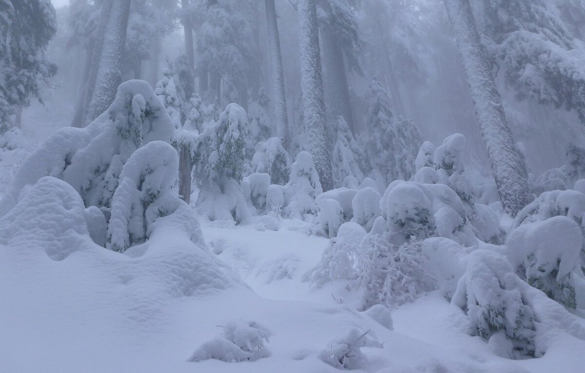 фото из интернета