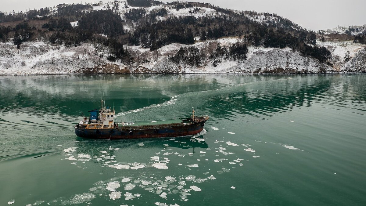    Остров Шикотан на Курилах© РИА Новости . Сергей Красноухов