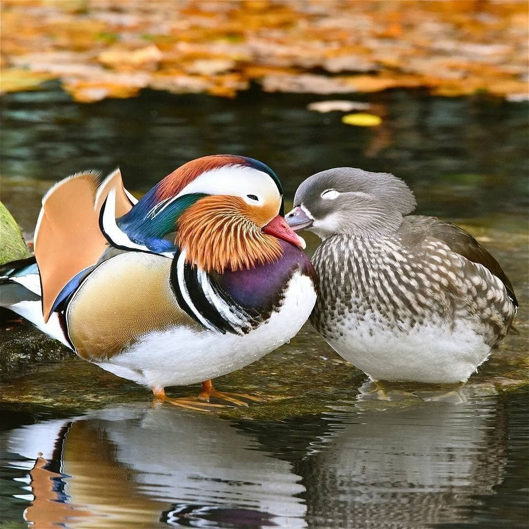    скриншот видео Youtube