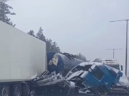     фото: кадр из видео. источник: соцсети
