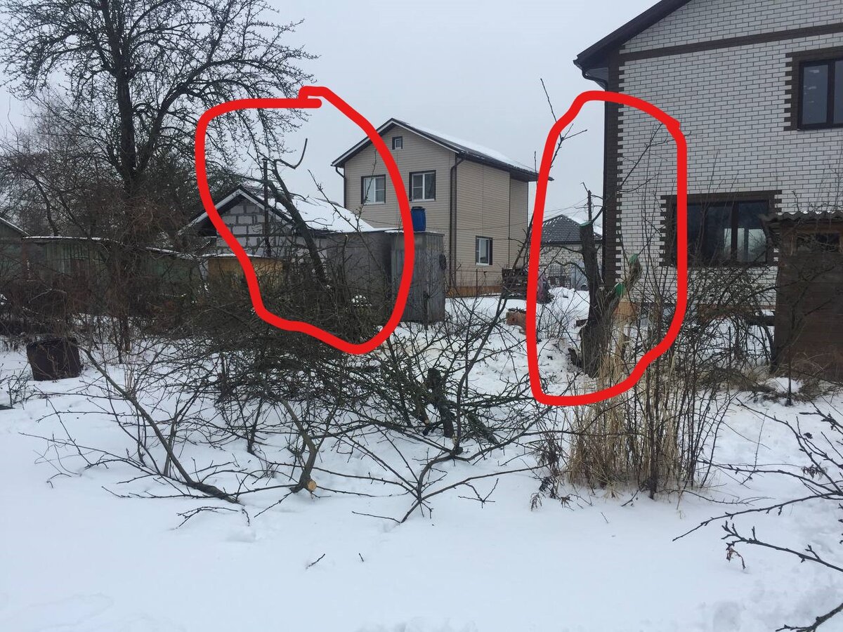 Все ветки теперь на земле