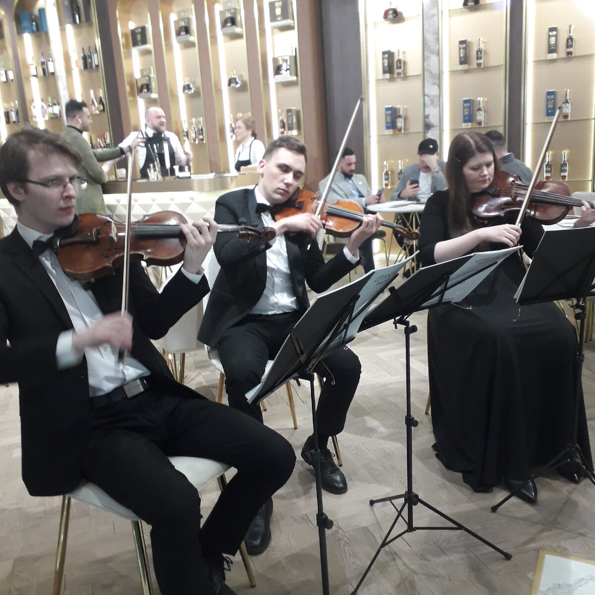 Живая музыка от Армения Вайн