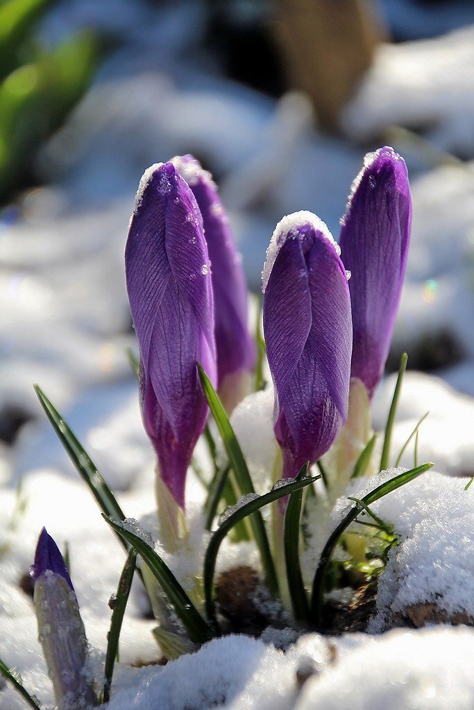 Фото взято из интернета 