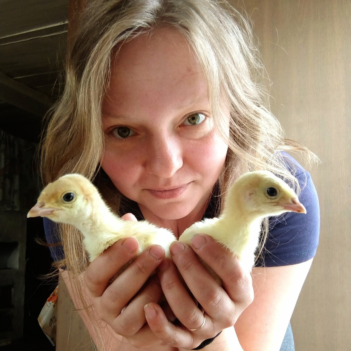 Угадайте в комментариях, кто эти птенцы