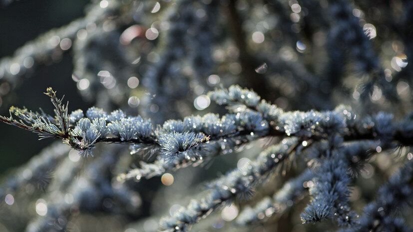   Gettyimages.ru Claudia Weirich / EyeEm