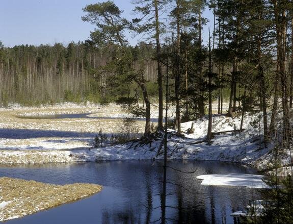    Nikolay Gyngazov / globallookpress.com