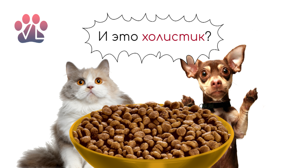 Premier корм для кошек