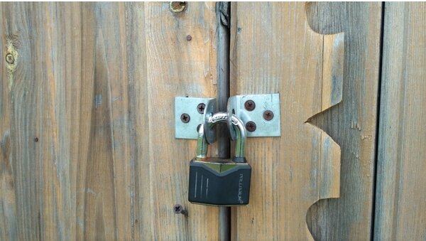 фото из открытыx источников 