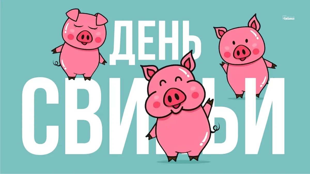 День свиньи. Иллюстрация: «Курьер.Среда»