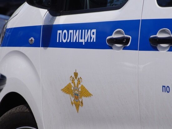     Фото Владислава Пирогова/МК в Красноярске