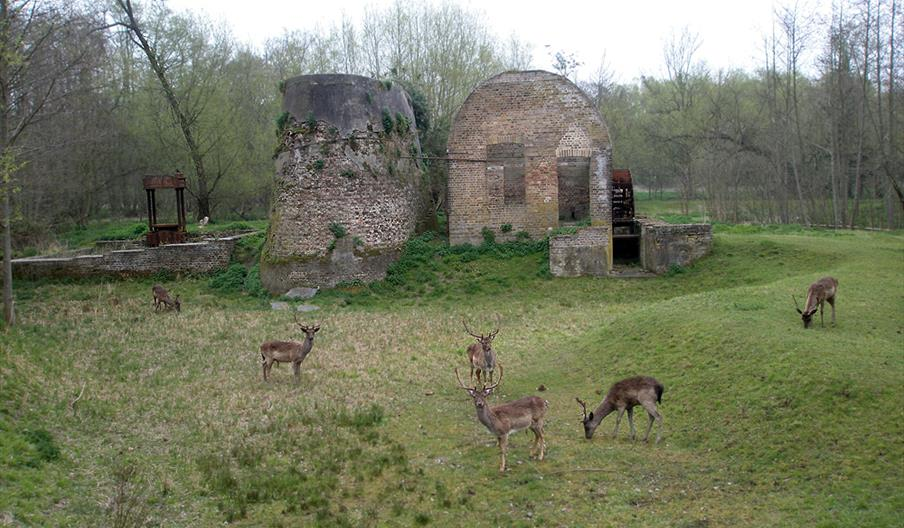 Оружейные музеи мира: Royal Powder Mills, Англия