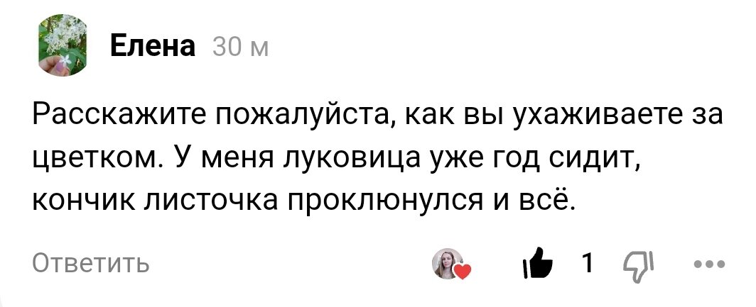 Что ж, расскажу все как есть, да секретов-то особых нет