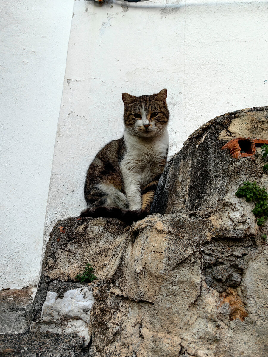 Самопровозглашенный Владыка всея Мармариса 
