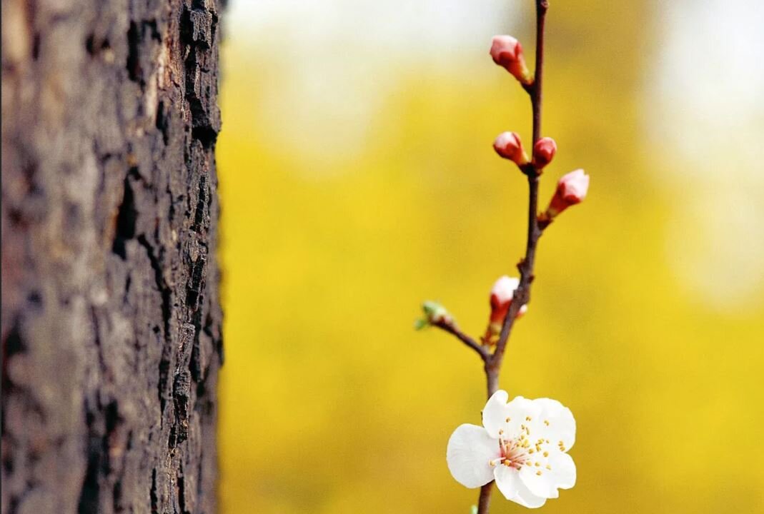 фото из яндекс картинок для ленты канала