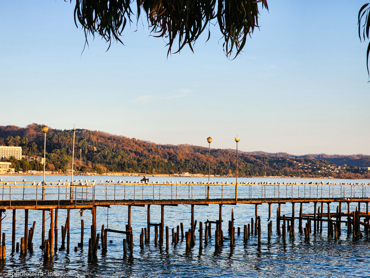 Чайки в ряд. Ритм и линии. Море и небо. Сухум, набережная.  Фото: Корчагина Татьяна