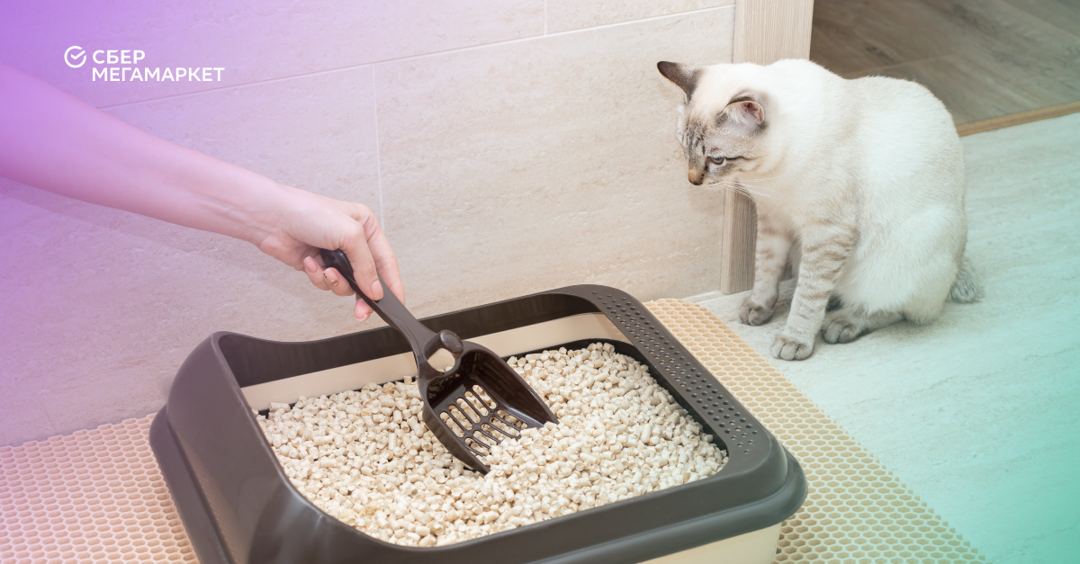 Какой наполнитель для кошачьего туалета понравится питомцу | Мегамаркет |  Дзен