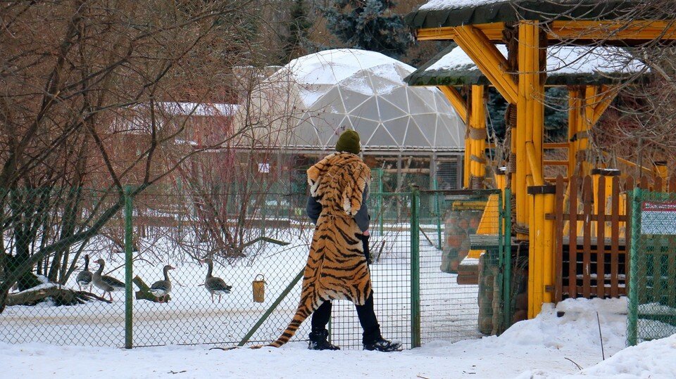     Всех посетителей вывели на время учений. Фото: Ленинградский зоопарк