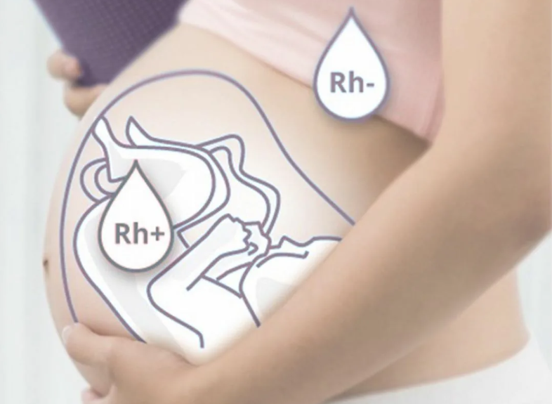 все фото - яндекс-картинки