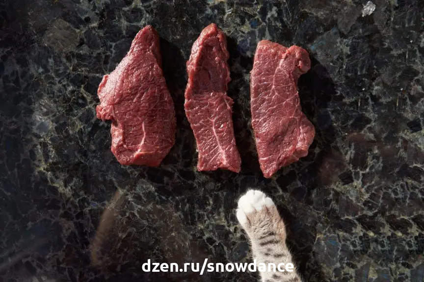 Мясо для вашей кошки