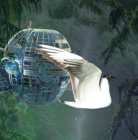 Коллаж мой. 