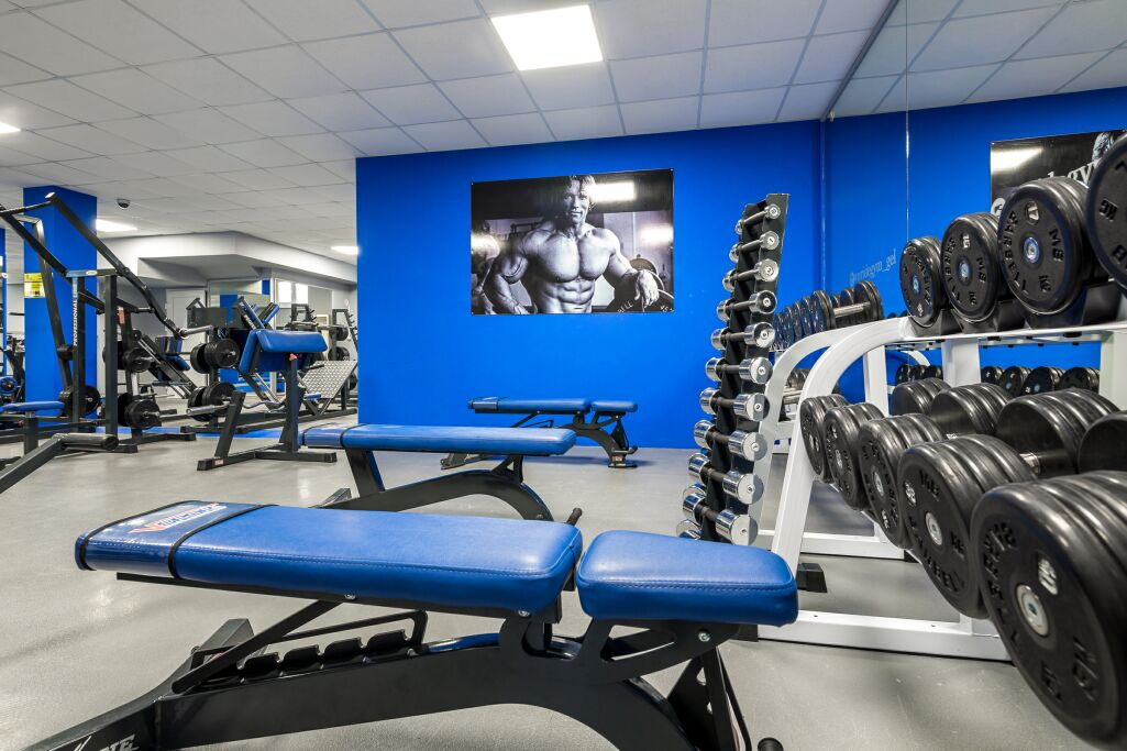 Gym бугры