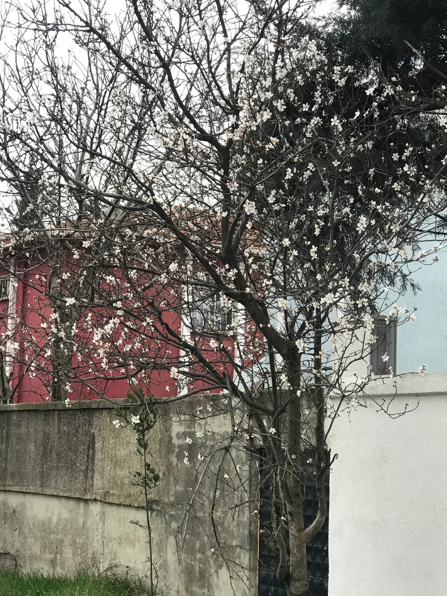 Фото с прогулки 