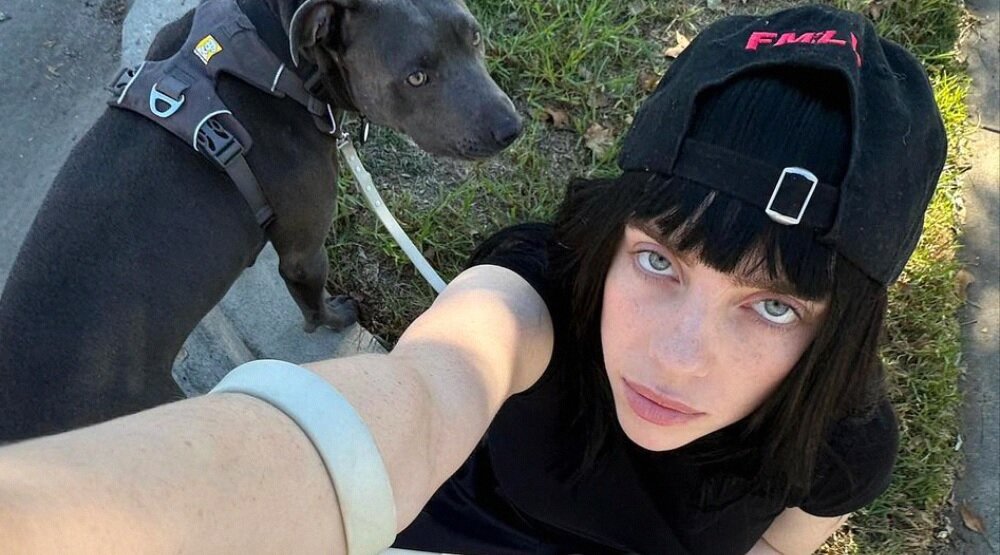     Билли Айлиш / Фото: соцсети певицы