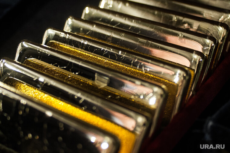    В доме блогерши Валерии Чекалиной нашли золотые слитки