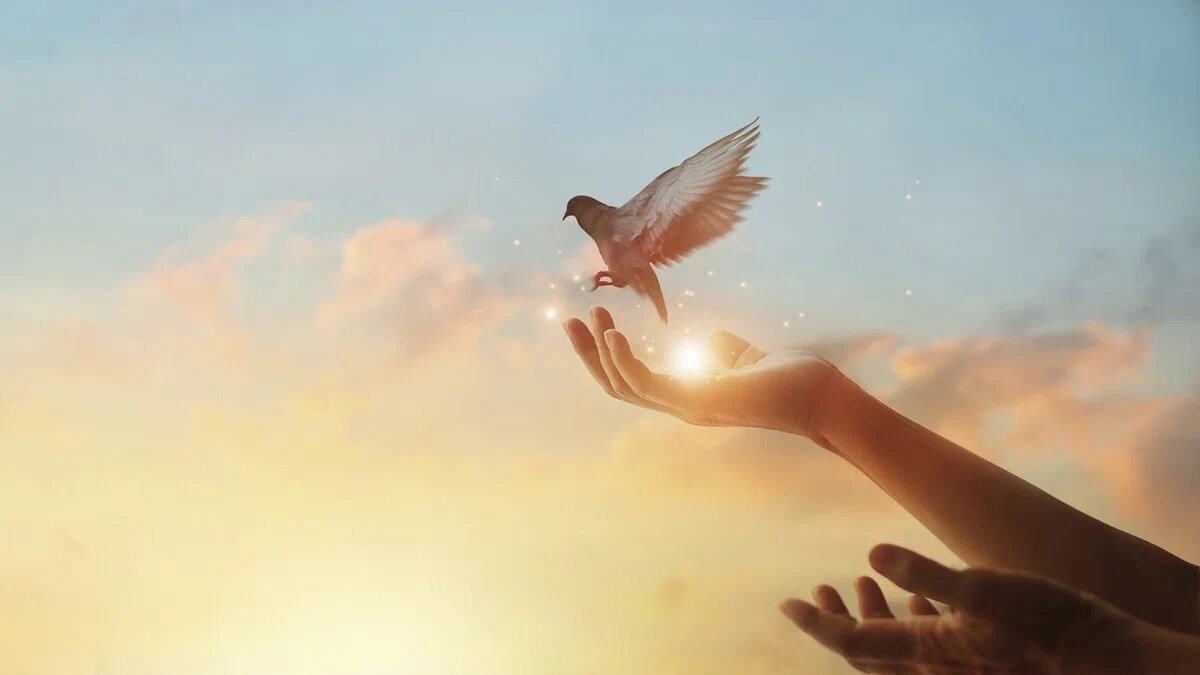 Вера - тема не простая, по сему статья большая!