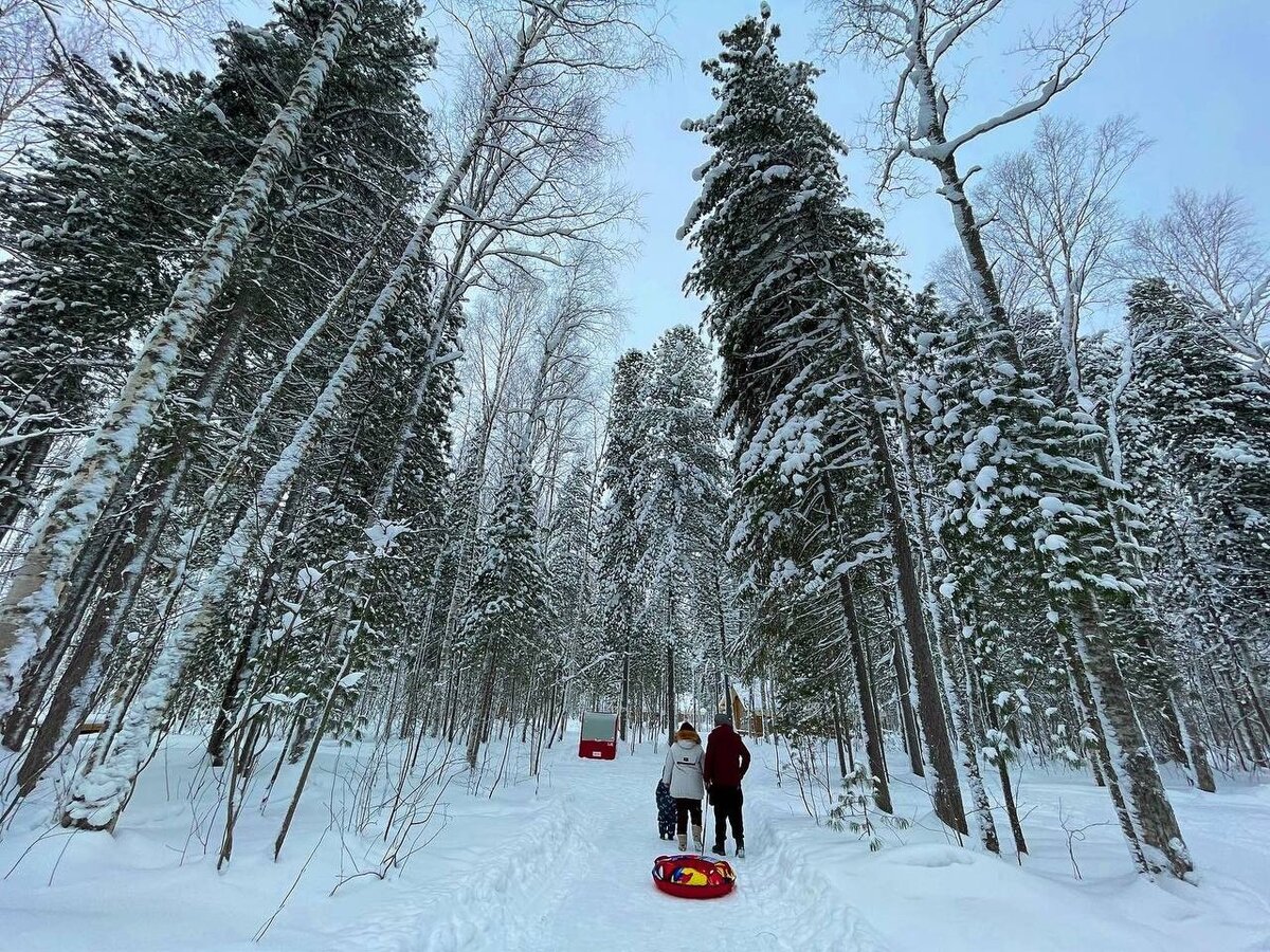 Ягом нижневартовск лесной комплекс. Лесной комплекс «ягом». Лесной комплекс «ягом». Тропа ягом нижневартовск. Лесной комплекс «ягом».