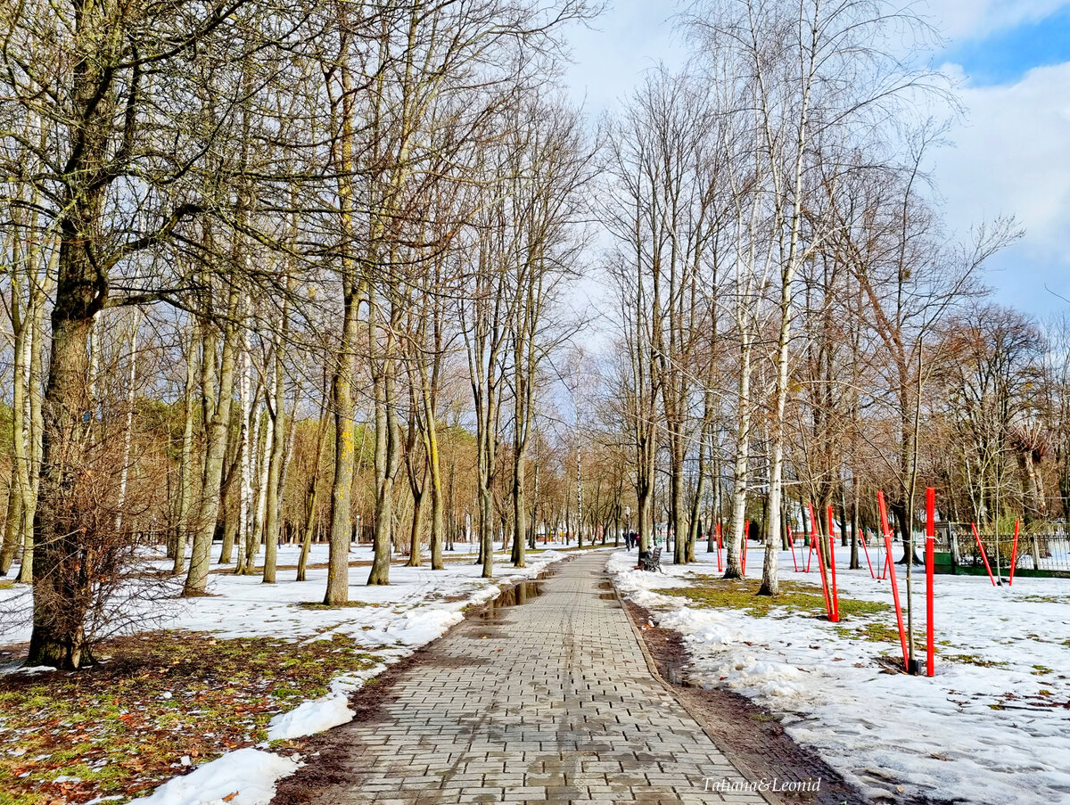 Сайт март рб. Беларусь март. Беларусь в марте. Март на белорусском. Снежное утро в марте.