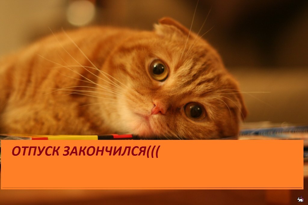 Музыканты отпуск закончился мы начинаем. Отпуск закончился. На работу после отпуска. С выходом на работу после отпуска. Отпуск кончился приколы.