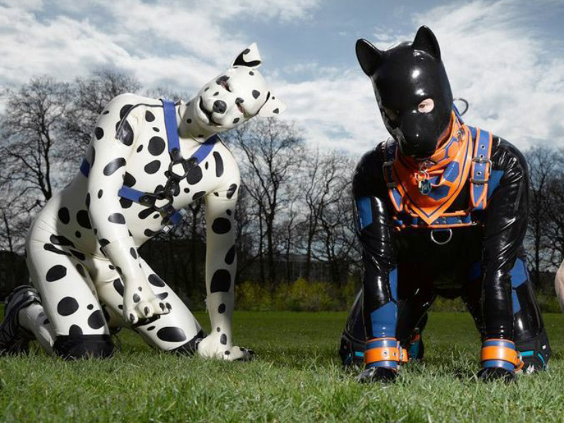 Pet play is. Pet play is. парень в костюме собаки. мужчина в костюме собаки на поводке. девушка ponyplay.
