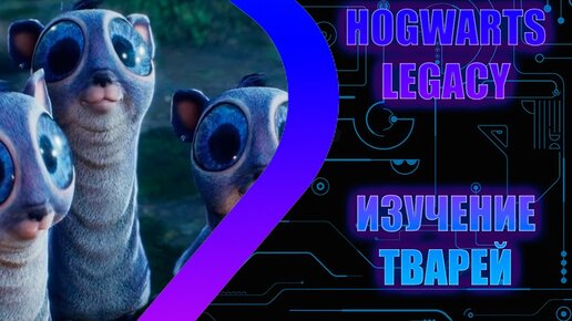 HOGWARTS LEGACY - Изучение Тварей - Стрим 6