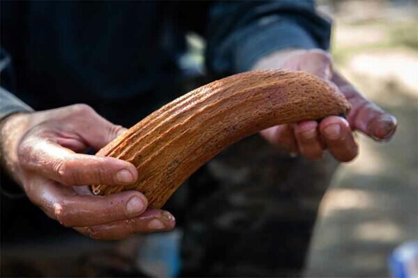    Фото: пресс-служба КФУ имени Вернадского