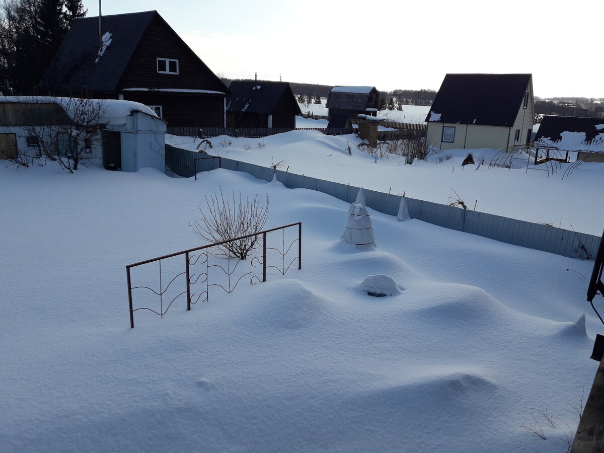 7 марта 2023 г