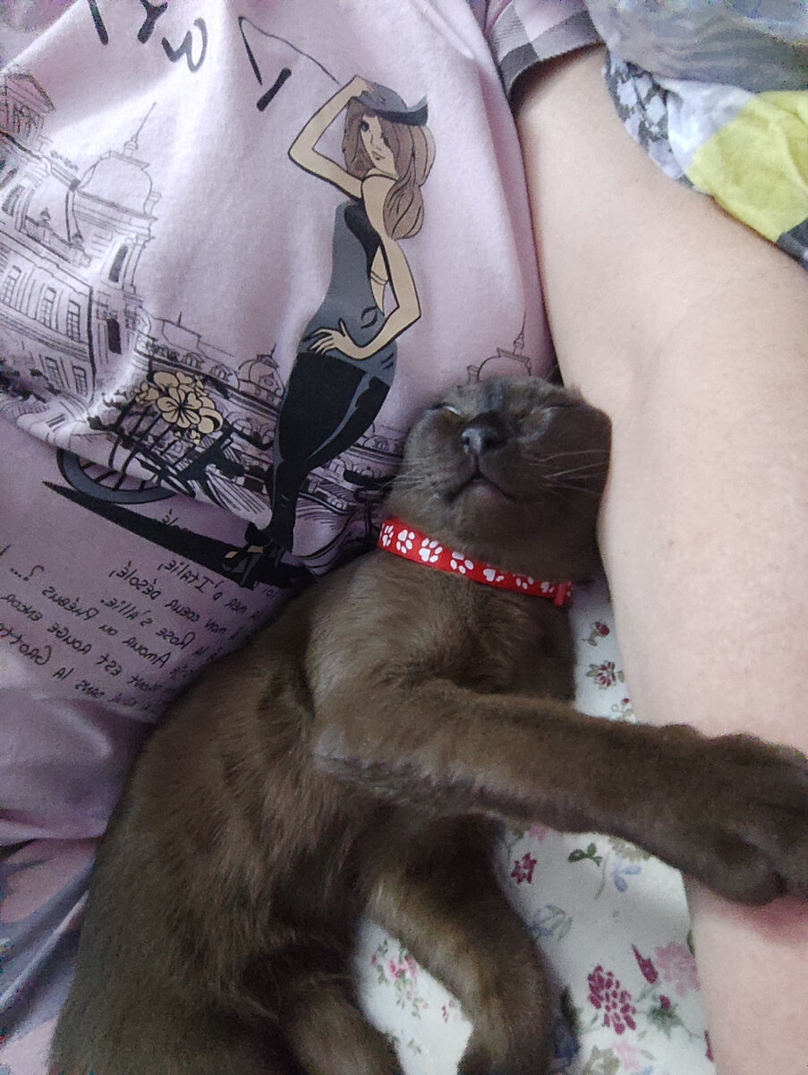 Фасе очень важно, чтобы тактильный контакт был как можно ближе и дольше)))) 