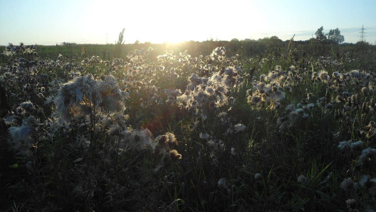 "Утро дворянина"-Нижний Новгород