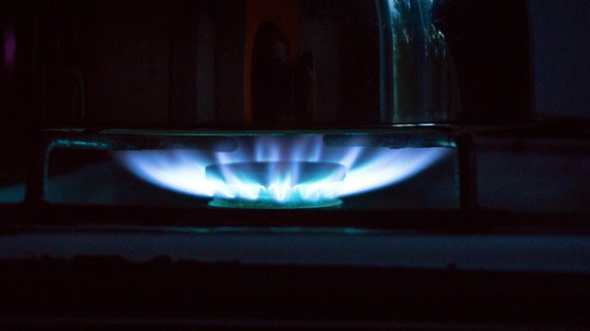     Пока подключено к газу только 34 дома. Вопрос обсудили на совещании правительства, посвященном социально-экономическому развитию Петрозаводска.