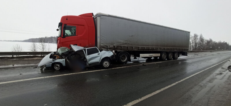    Фото с сайта УМВД по Рязанской области