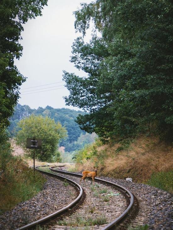     ФОТО UNSPLASH.COM