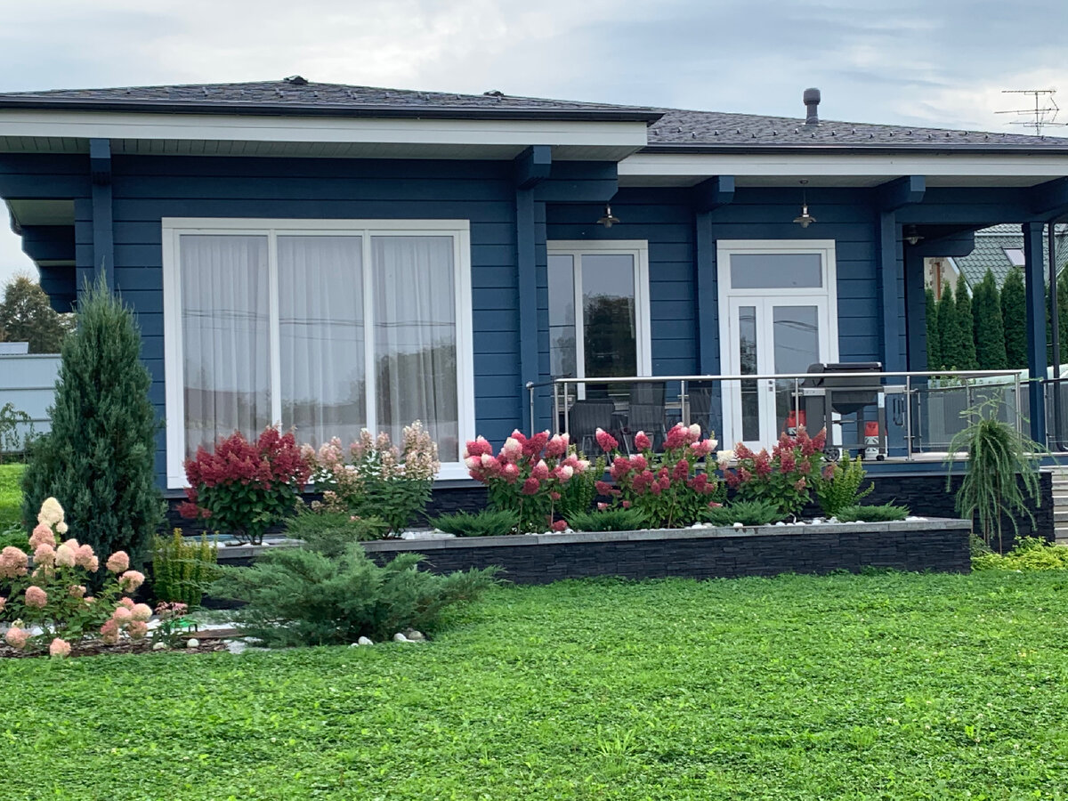 Можжевельник казацкий разложил свои ветви на первом плане