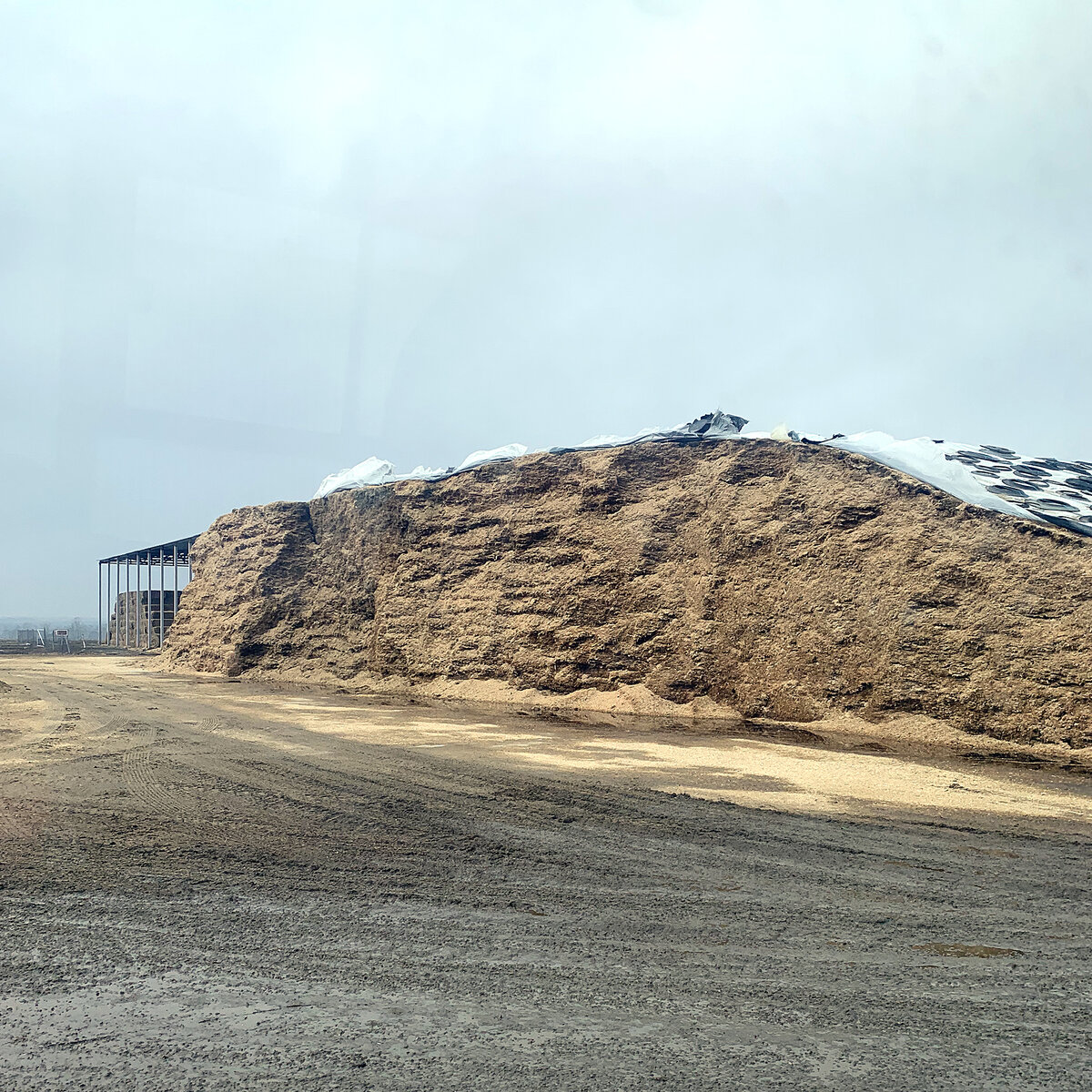 Белгородская область, ГК "Зеленая долина" | ИНСТИТУТ МОЛОКА | Дзен