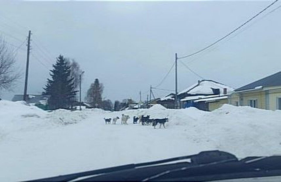     Фото: "Life Кожевниково" / "ВКонтакте"