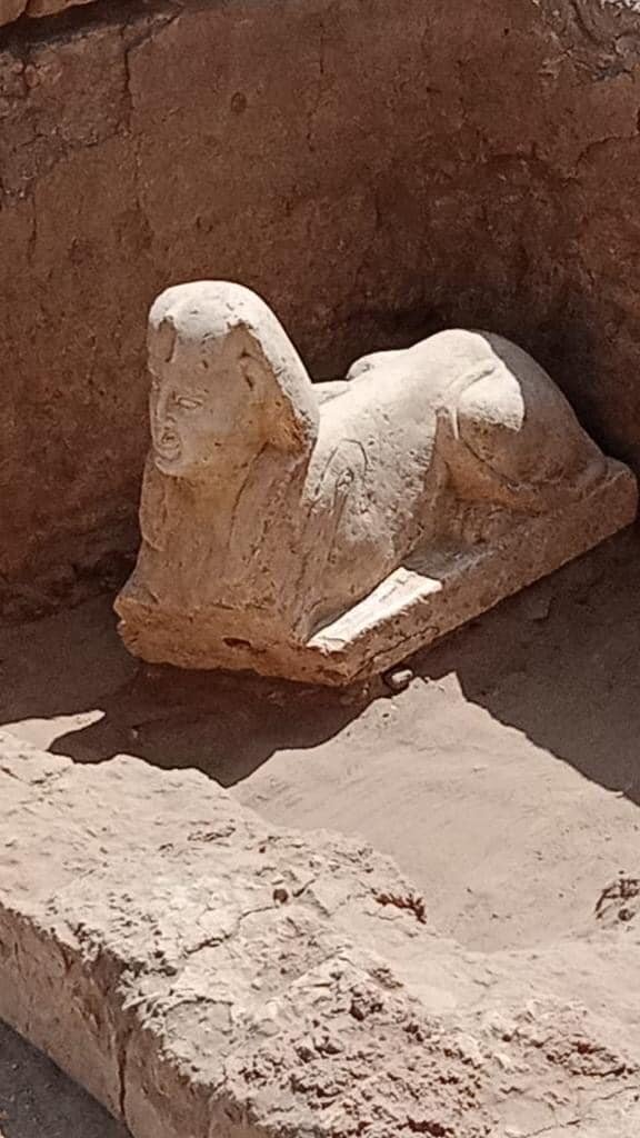 Артефакты, найденные в руинах римского здания. Фотографии: Ministry of Tourism and Antiquities