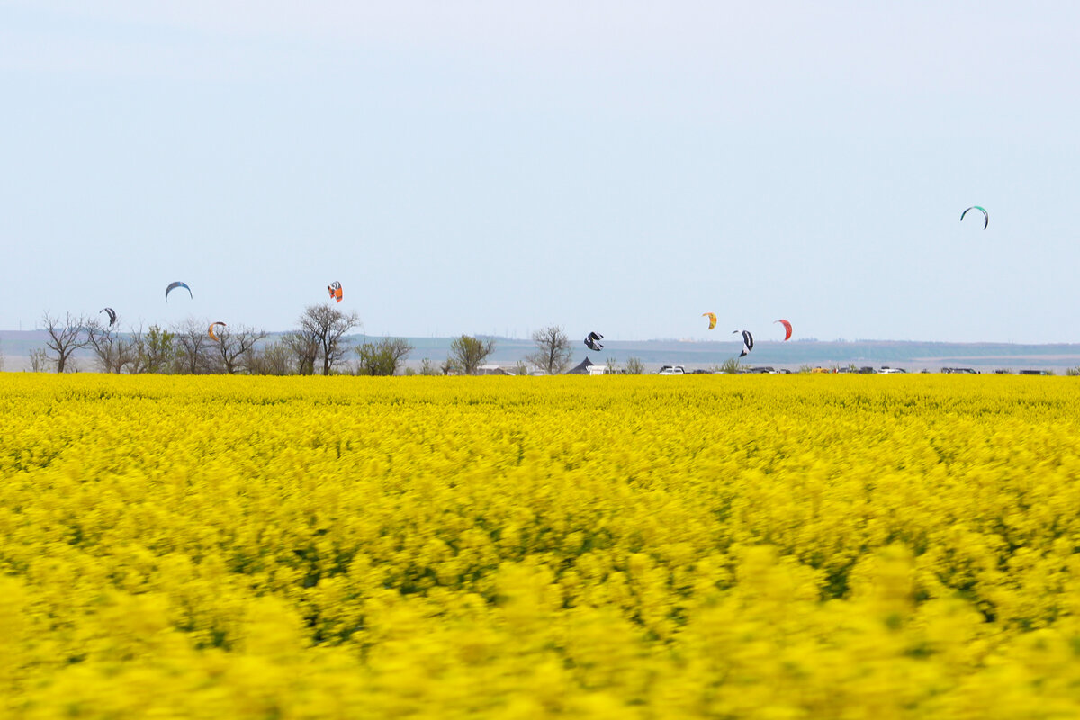 начало кайт сезона в Благовещенской, майские праздники 2022