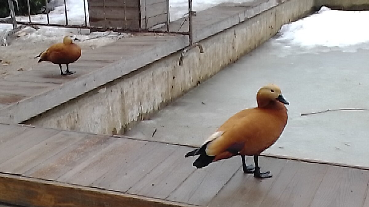 Они дождались, пока я дошла до них