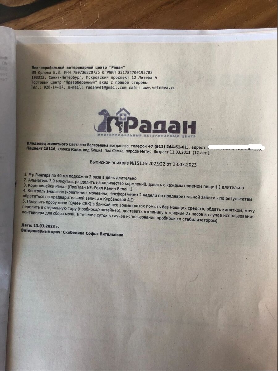 Выписка из клиники Капа